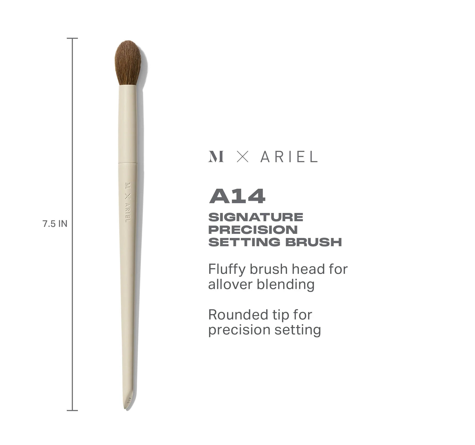 Ariel’s Setting Essentials - View 2